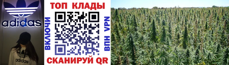 Купить наркотик Уржум Alpha-PVP  Кокаин  МЕФ  АМФ  Гашиш 