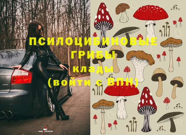 ПСИЛОЦИБИНОВЫЕ ГРИБЫ Переславль-Залесский