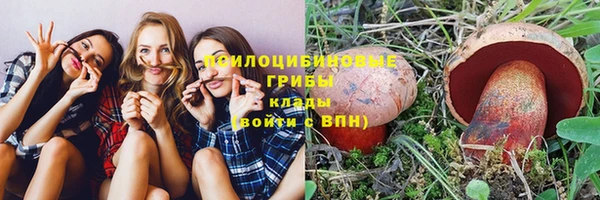 стафф Пестово