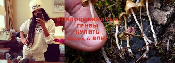 марки nbome Осинники