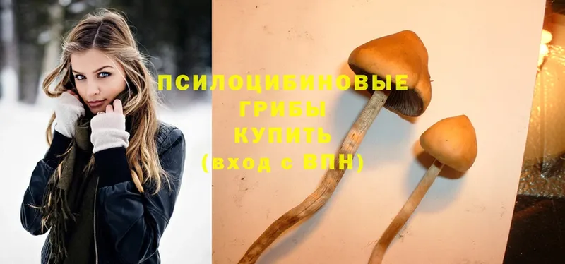 Псилоцибиновые грибы Magic Shrooms  Уржум 