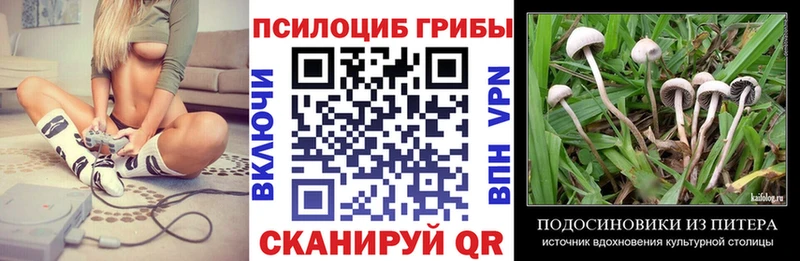 Псилоцибиновые грибы Magic Shrooms  Уржум 